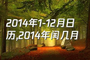 2014年1-12月日历（2014年闰几月）