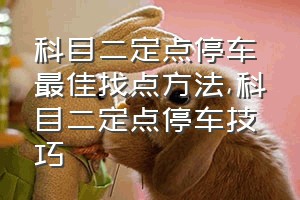 科目二定点停车最佳找点方法（科目二定点停车技巧）