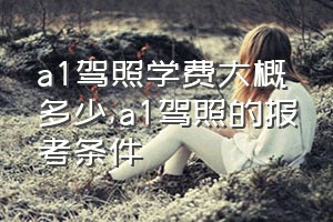 a1驾照学费大概多少（a1驾照的报考条件）