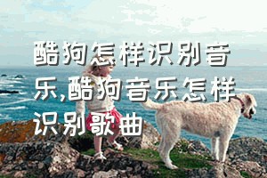 酷狗怎样识别音乐（酷狗音乐怎样识别歌曲）