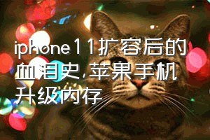 iphone11扩容后的血泪史（苹果手机升级内存）