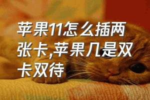 苹果11怎么插两张卡（苹果几是双卡双待）