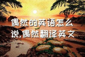 偶然的英语怎么说（偶然翻译英文）