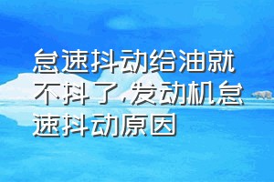 怠速抖动给油就不抖了（发动机怠速抖动原因）