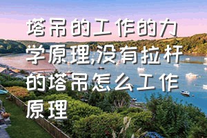 塔吊的工作的力学原理（没有拉杆的塔吊怎么工作原理）