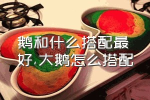 鹅和什么搭配最好（大鹅怎么搭配）