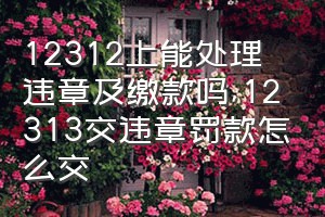 12312上能处理违章及缴款吗（12313交违章罚款怎么交）