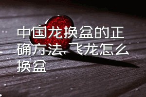 中国龙换盆的正确方法（飞龙怎么换盆）