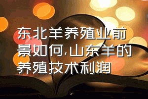 东北羊养殖业前景如何（山东羊的养殖技术利润）