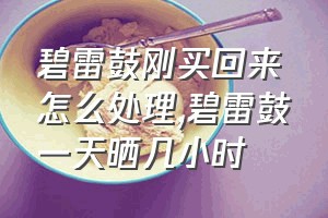 碧雷鼓刚买回来怎么处理（碧雷鼓一天晒几小时）