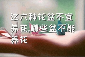 这六种花盆不宜养花（哪些盆不能养花）