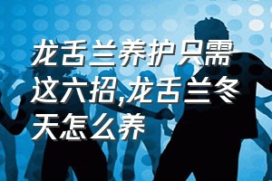 龙舌兰养护只需这六招（龙舌兰冬天怎么养）