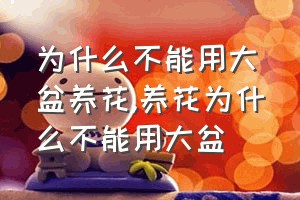 为什么不能用大盆养花（养花为什么不能用大盆）