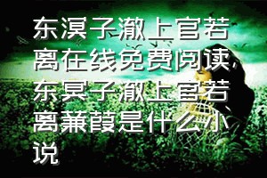 东溟子澈上官若离在线免费阅读（东冥子澈上官若离蒹葭是什么小说）