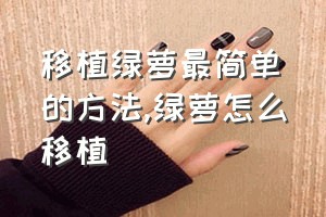 移植绿萝最简单的方法（绿萝怎么移植）