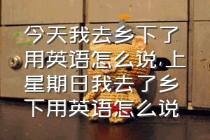 今天我去乡下了用英语怎么说（上星期日我去了乡下用英语怎么说）