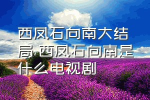 西凤石向南大结局（西凤石向南是什么电视剧）