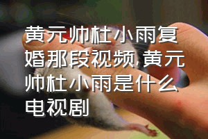 黄元帅杜小雨复婚那段视频（黄元帅杜小雨是什么电视剧）