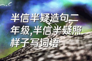 半信半疑造句二年级（半信半疑照样子写词语）