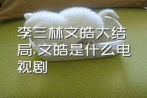 李三林文皓大结局（文皓是什么电视剧）