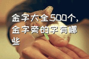 金字大全500个（金字旁的字有哪些）