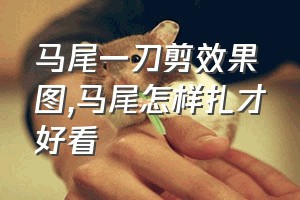 马尾一刀剪效果图（马尾怎样扎才好看）