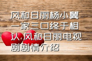 风和日丽杨小翼一家三口终于相认（风和日丽电视剧剧情介绍）