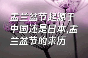 盂兰盆节起源于中国还是日本（盂兰盆节的来历）