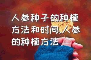 人参种子的种植方法和时间（人参的种植方法）