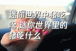 迷你世界中猪吃啥（迷你世界里的猪吃什么）