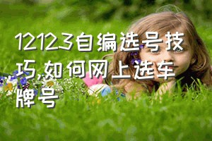 12123自编选号技巧（如何网上选车牌号）