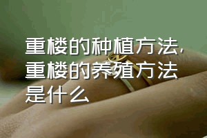 重楼的种植方法（重楼的养殖方法是什么）