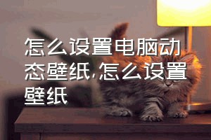 怎么设置电脑动态壁纸（怎么设置壁纸）