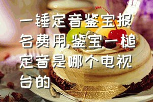 一锤定音鉴宝报名费用（鉴宝一槌定音是哪个电视台的）