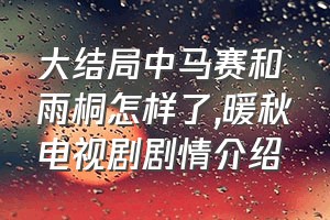 大结局中马赛和雨桐怎样了（暖秋电视剧剧情介绍）