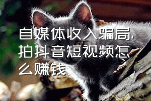 自媒体收入骗局（拍抖音短视频怎么赚钱）