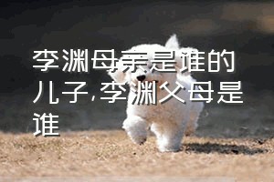 李渊母亲是谁的儿子（李渊父母是谁）