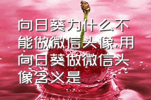 向日葵为什么不能做微信头像（用向日葵做微信头像含义是）