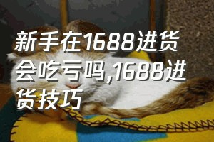 新手在1688进货会吃亏吗（1688进货技巧）