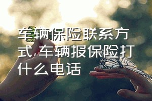 车辆保险联系方式（车辆报保险打什么电话）