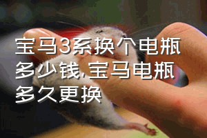 宝马3系换个电瓶多少钱（宝马电瓶多久更换）