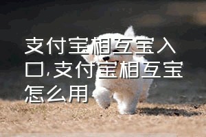 支付宝相互宝入口（支付宝相互宝怎么用）