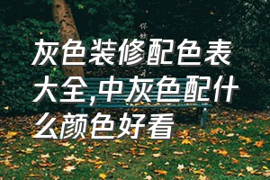 灰色装修配色表大全（中灰色配什么颜色好看）