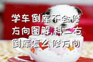 学车倒库不会修方向图解（科二右倒库怎么修方向）