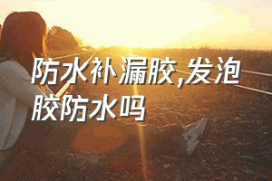 防水补漏胶（发泡胶防水吗）