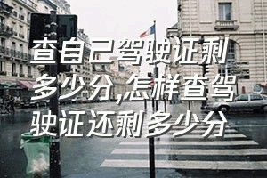 查自己驾驶证剩多少分（怎样查驾驶证还剩多少分）