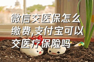 微信交医保怎么缴费（支付宝可以交医疗保险吗）