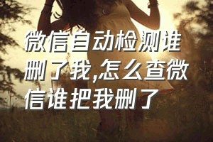 微信自动检测谁删了我（怎么查微信谁把我删了）