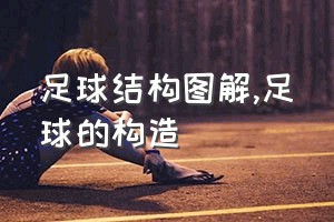 足球结构图解（足球的构造）