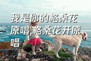 我是你的格桑花原唱（格桑花开原唱）